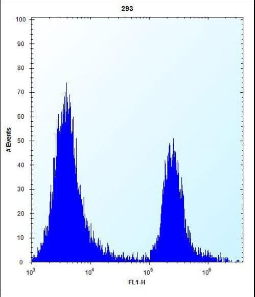CPN1 Antibody (aa210-240)