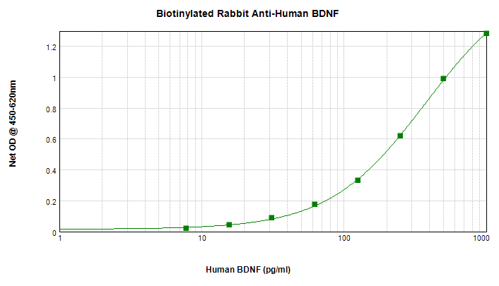 BDNF Antibody (Biotin)