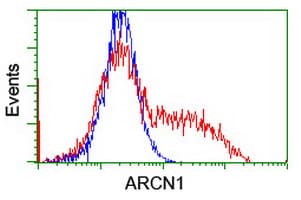 COPD / ARCN1 Antibody (clone OTI6A6)