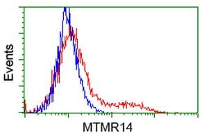MTMR14 Antibody (clone OTI6F8)