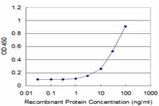 Monoclonal Mouse anti-Human PEX14 Antibody (clone 1G12, WB)