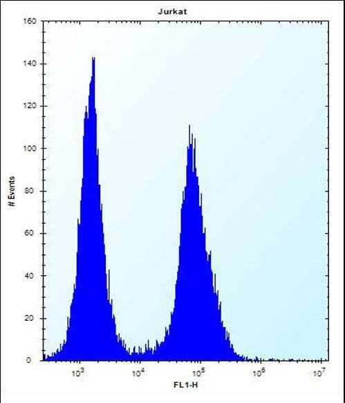 GAL4 / Galectin 4 Antibody (aa70-98)