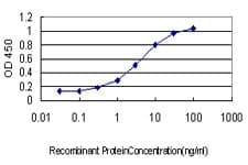 LGALS8 / Galectin 8 Antibody (clone 3E5)