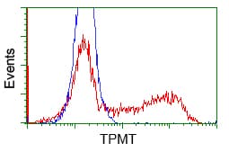 TPMT Antibody (clone OTI4C1)