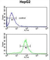 LDHD / Lactate Dehydrogenase D Antibody (aa35-62)