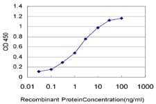 KHDRBS1 / SAM68 Antibody (clone 1A4)