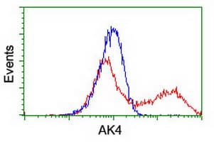 AK4 / Adenylate Kinase 4 Antibody (clone OTI5E7, Carrier-free)