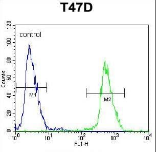 NUP210 / gp210 Antibody (aa202-231)