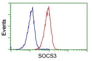 Monoclonal Mouse anti-Human SOCS3 Antibody (clone OTI11C5, IF, WB)