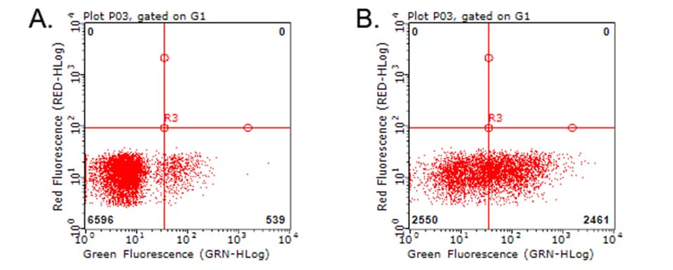 TNFRSF9 / 4-1BB / CD137 Antibody (clone OTI3B7)