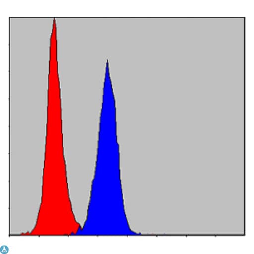 PKN2 Antibody