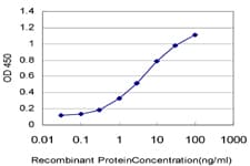 ARAF / ARAF1 / A-RAF Antibody (clone 6H6)