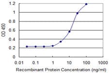 IHC-plus™ Monoclonal Mouse anti-Human ZIC4 Antibody (clone 2B9, IHC, WB)