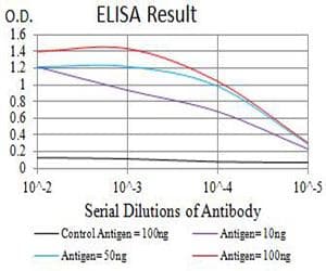 GRIK4 / KA1 Antibody (clone 8H5H9)