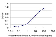RAB36 Antibody (clone 6A6)