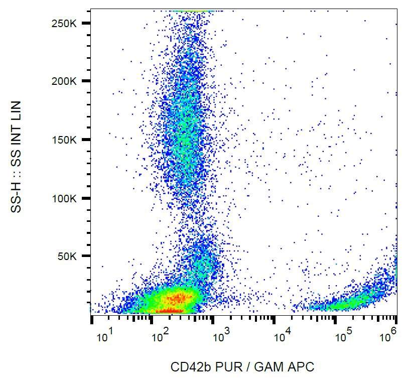 GP1BA / CD42b Antibody (clone HIP1)