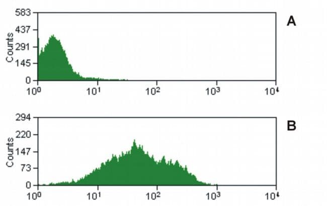 CD47 Antibody (clone MEM-122, FITC)