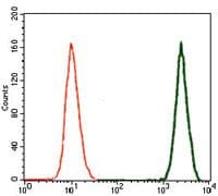TGFB1 / TGF Beta 1 Antibody (Amino Acid: 62-195, clone 7F6)