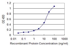 SPR Antibody (clone 4F2)