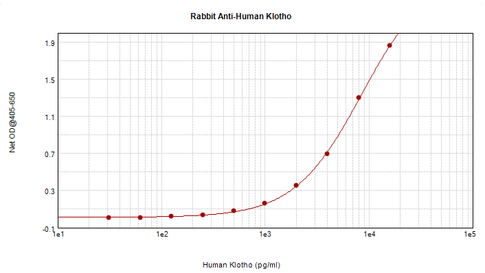 KL / Klotho Antibody