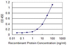 Monoclonal Mouse anti-Human SFTPC / Surfactant Protein C Antibody (clone 4A10, WB)
