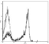 CD27 Antibody (clone O323, FITC)