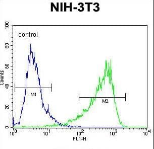 HIF1A / HIF1 Alpha Antibody (aa519-547)