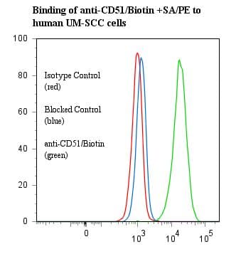 ITGAV/Integrin Alpha V/CD51 Antibody (clone P2W7, Biotin)