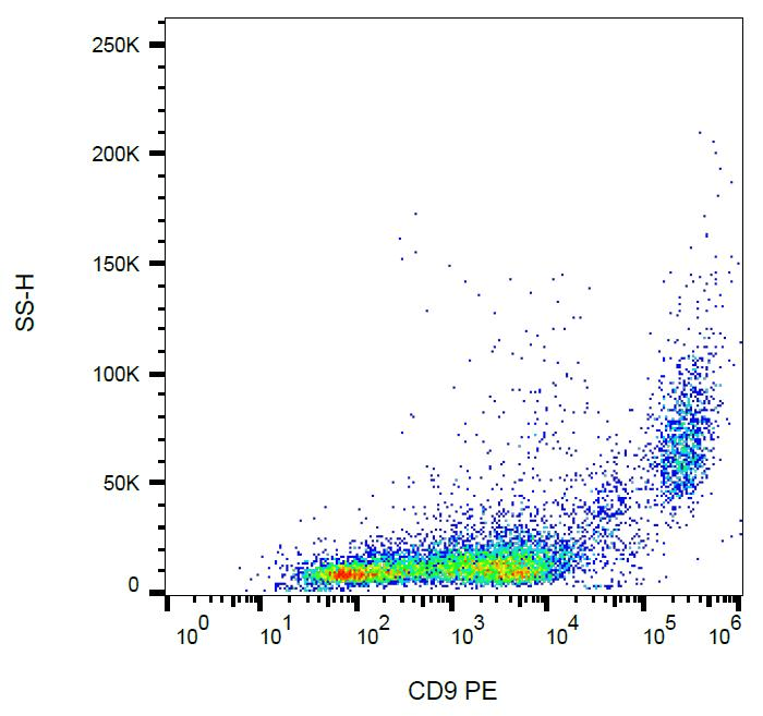 Monoclonal Rat anti-Mouse CD9 Antibody (clone EM-04, PE, WB)