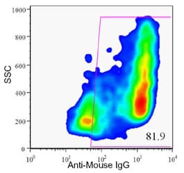 Pancreas Marker HPi2 Antibody (clone HIC1-2B4.2B)