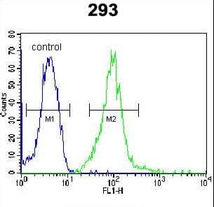 Polyclonal Rabbit anti-Human IRF2BP2 Antibody (aa337-366, WB)