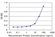 Monoclonal Mouse anti-Human NFE2 / p45 Antibody (clone 2C6, WB)