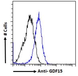 IHC-plus™ GDF15 Antibody (aa286-299)