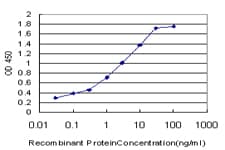 TCEB2 / Elongin B Antibody (clone 6F6)