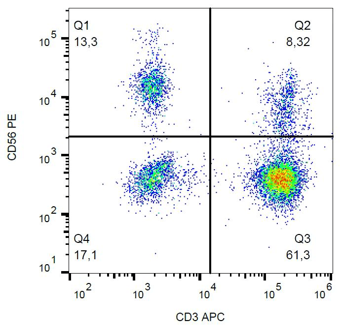 NCAM / CD56 Antibody (clone MEM-188, PE)