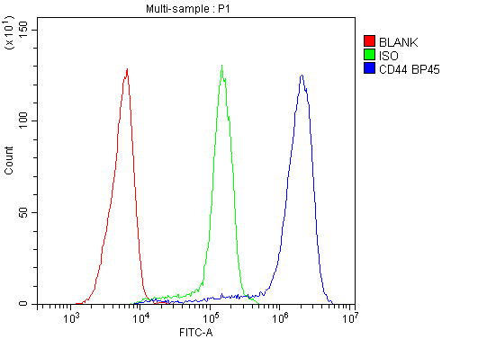 CD44 Antibody