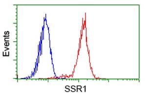SSR1 Antibody (clone OTI 1B10)