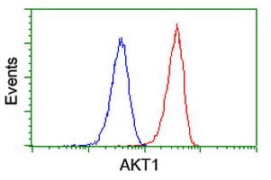 AKT1 Antibody (clone OTI4C11)