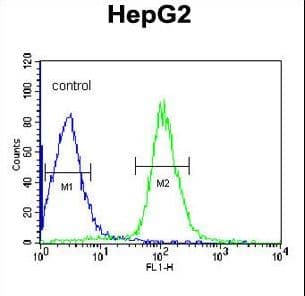 CCDC85B Antibody (aa69-96)