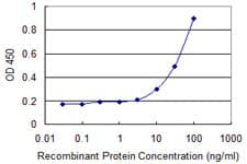 ANT2 / SLC25A5 Antibody (clone 1D7)