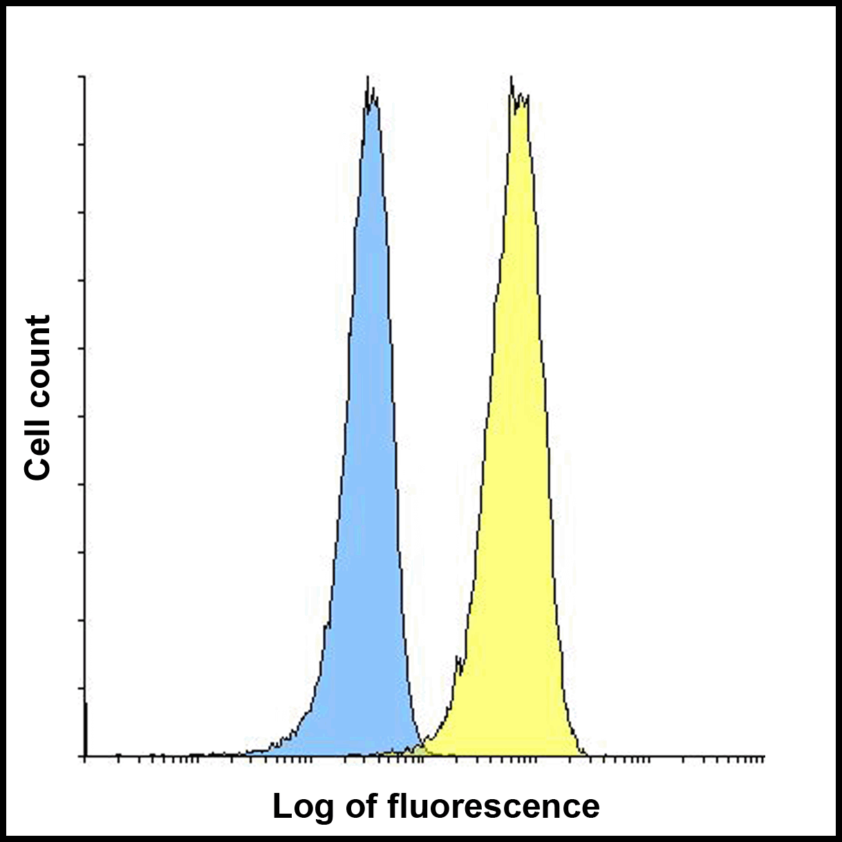 IHC-plus™ TIGIT Antibody (clone 3B5)