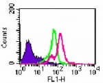 TLR7 / CD287 Antibody (aa650-700)