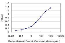 CD40 Antibody (clone 1G1)