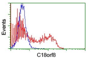 C18orf8 / MIC1; Antibody (clone OTI4E4)