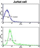 CD9 Antibody (aa21-51)