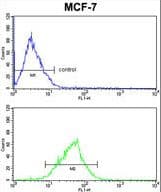 MDFIC / HIC Antibody (aa73-99)