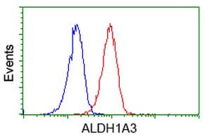 ALDH1A3 Antibody (aa1-100, clone OTI4E8, Carrier-free)