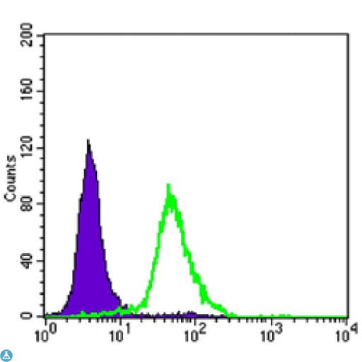 CRTC2 / TORC2 Antibody
