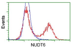 NUDT6 Antibody (clone OTI2H1, Carrier-free)