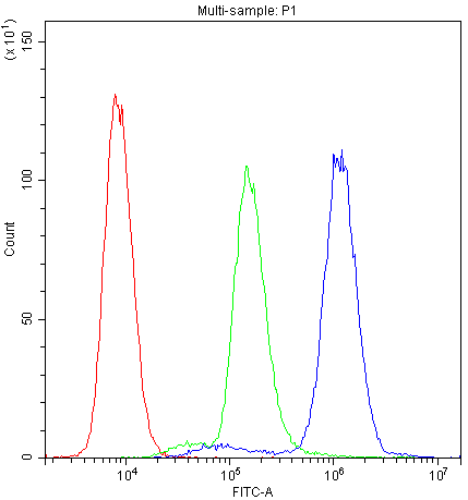 PTP4A2 / PRL-2 Antibody (aa40-69)